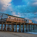 Morning at the Pier